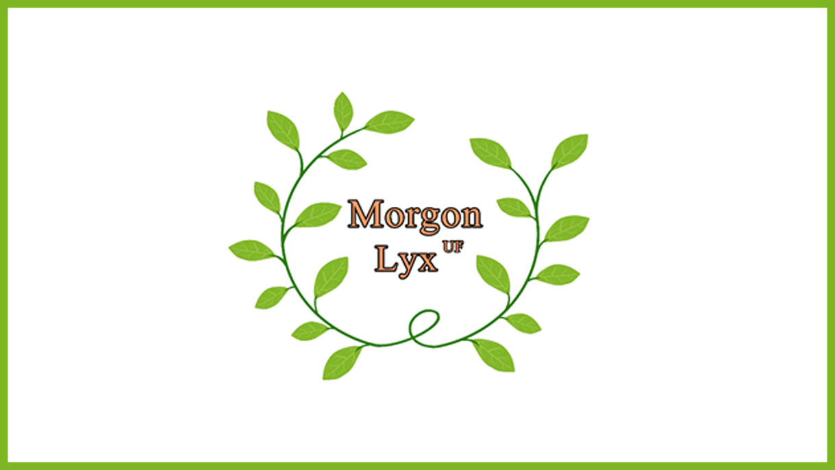 Morgon Lyx UF