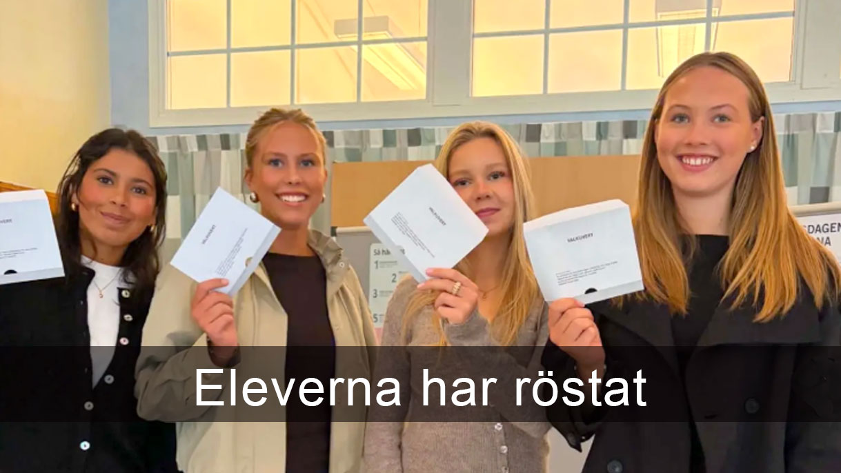 Exempelbild