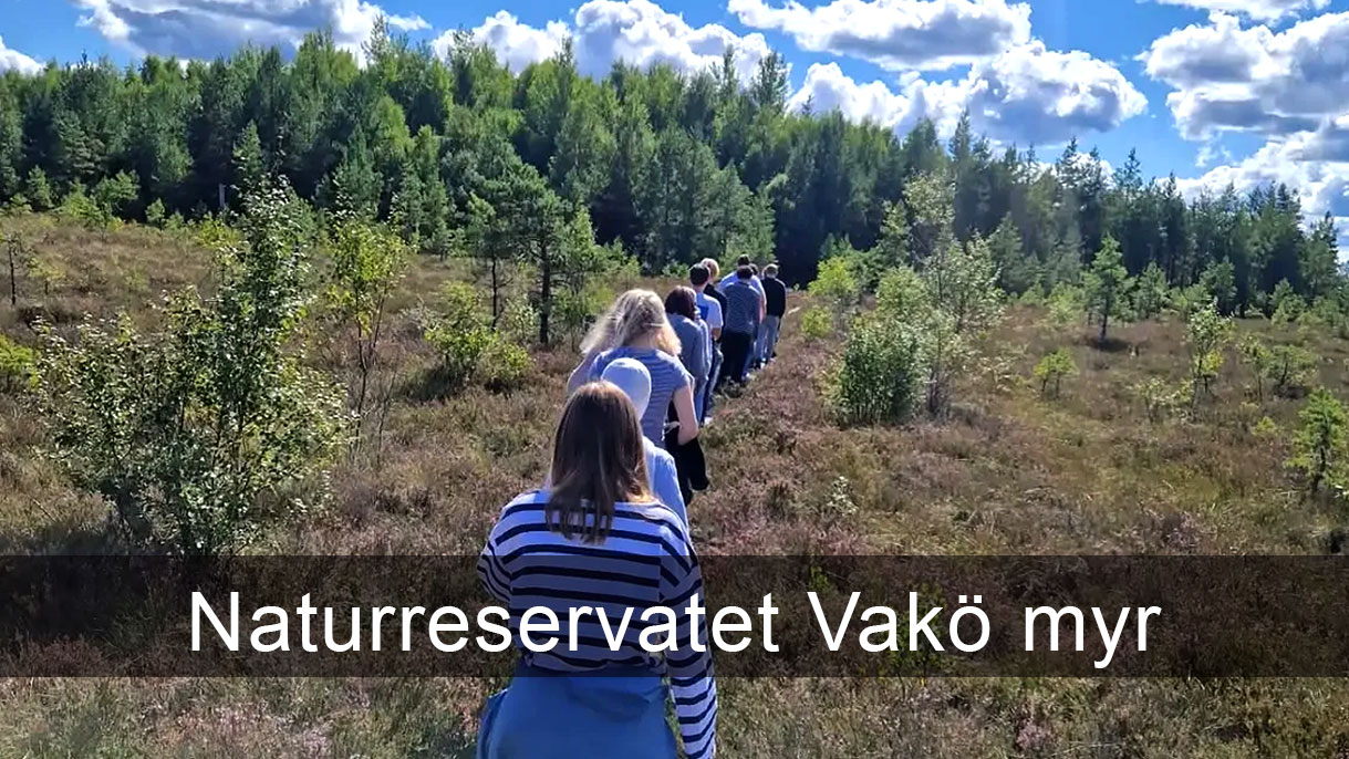 Vakö myr